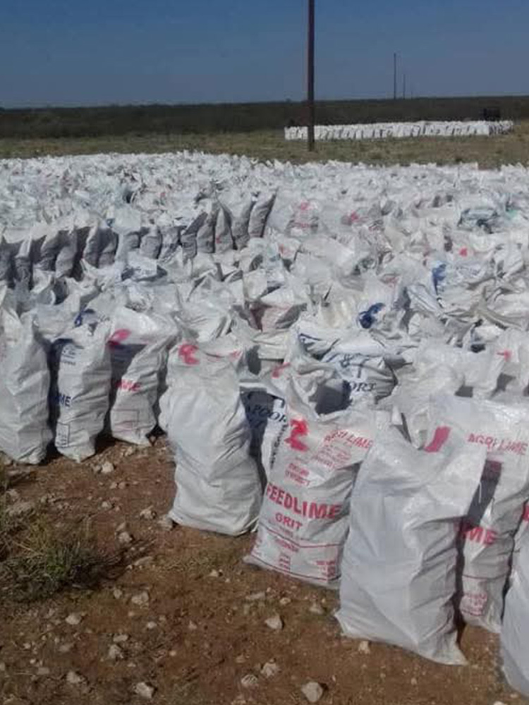 Extensive outdoor storage of many white bulk bags on dirt, ideal for goods such as Namibian firewood in Johannesburg.